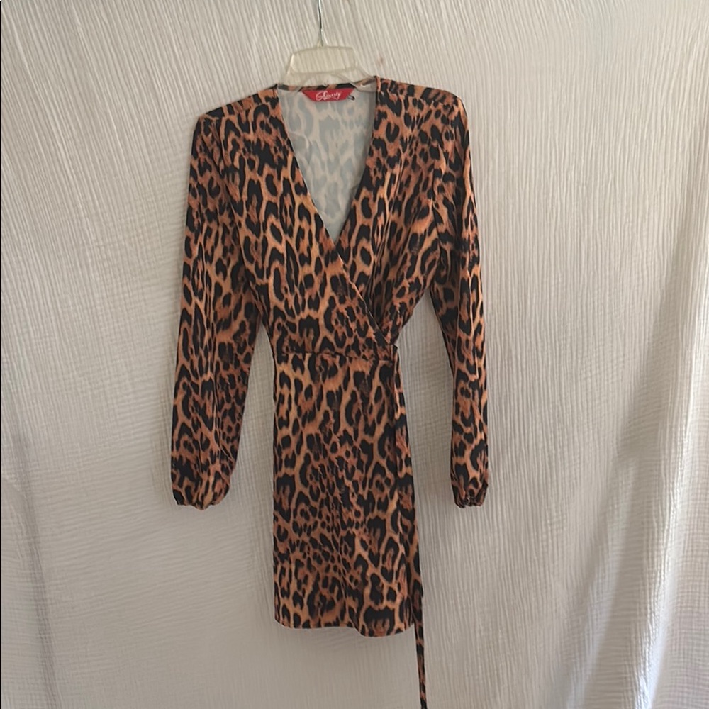 Leopard Print Wrap Dress